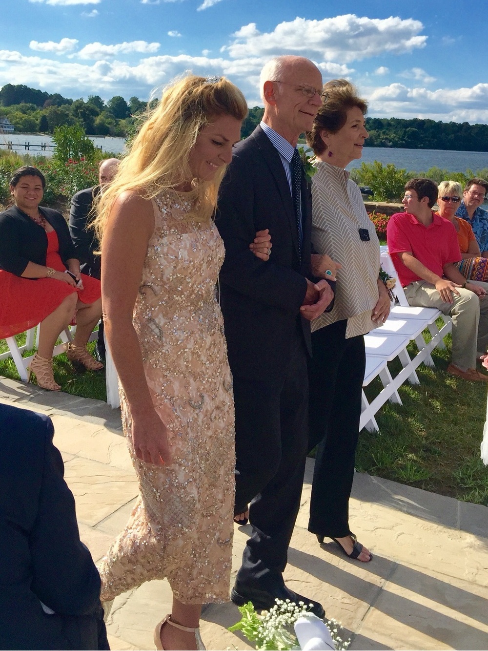 Aidan Mattox Rose Gold Sequin Sheath Dress - Picture 9 of 9